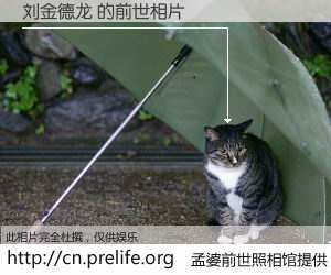 #孟婆前世照相馆# 【刘金德龙 的前世相片】我们都曾从奈何桥上走过，喝下三碗忘川之水烹煮的孟婆汤，忘却了前尘旧事。孟婆前世照相馆，保存着你前世的数码相片。刘金德龙 的前世相片，有图有真相：