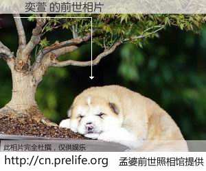 #孟婆前世照相馆# 【劉奕萱 的前世相片】我们都曾从奈何桥上走过，喝下三碗忘川之水烹煮的孟婆汤，忘却了前尘旧事。孟婆前世照相馆，保存着你前世的数码相片。劉奕萱 的前世相片，有图有真相：