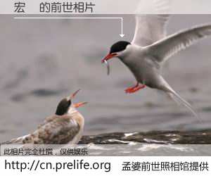 #孟婆前世照相馆# 【宏穎 的前世相片】我们都曾从奈何桥上走过，喝下三碗忘川之水烹煮的孟婆汤，忘却了前尘旧事。孟婆前世照相馆，保存着你前世的数码相片。宏穎 的前世相片，有图有真相：