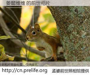 #孟婆前世照相馆# 【姜懿维维 的前世相片】我们都曾从奈何桥上走过，喝下三碗忘川之水烹煮的孟婆汤，忘却了前尘旧事。孟婆前世照相馆，保存着你前世的数码相片。姜懿维维 的前世相片，有图有真相：