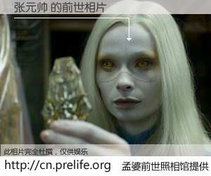 #孟婆前世照相馆# 【张元帅 的前世相片】我们都曾从奈何桥上走过，喝下三碗忘川之水烹煮的孟婆汤，忘却了前尘旧事。孟婆前世照相馆，保存着你前世的数码相片。张元帅 的前世相片，有图有真相：