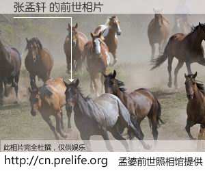 #孟婆前世照相馆# 【张孟轩 的前世相片】我们都曾从奈何桥上走过，喝下三碗忘川之水烹煮的孟婆汤，忘却了前尘旧事。孟婆前世照相馆，保存着你前世的数码相片。张孟轩 的前世相片，有图有真相：