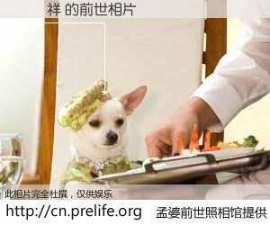 #孟婆前世照相馆# 【張啟祥 的前世相片】我们都曾从奈何桥上走过，喝下三碗忘川之水烹煮的孟婆汤，忘却了前尘旧事。孟婆前世照相馆，保存着你前世的数码相片。張啟祥 的前世相片，有图有真相：