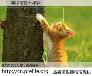 #孟婆前世照相馆# 【張芸 的前世相片】我们都曾从奈何桥上走过，喝下三碗忘川之水烹煮的孟婆汤，忘却了前尘旧事。孟婆前世照相馆，保存着你前世的数码相片。張芸 的前世相片，有图有真相：