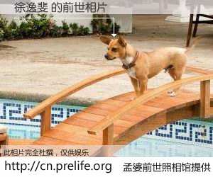 #孟婆前世照相馆# 【徐逸斐 的前世相片】我们都曾从奈何桥上走过，喝下三碗忘川之水烹煮的孟婆汤，忘却了前尘旧事。孟婆前世照相馆，保存着你前世的数码相片。徐逸斐 的前世相片，有图有真相：