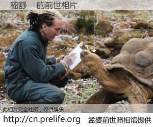 #孟婆前世照相馆# 【嵇舒垚 的前世相片】我们都曾从奈何桥上走过，喝下三碗忘川之水烹煮的孟婆汤，忘却了前尘旧事。孟婆前世照相馆，保存着你前世的数码相片。嵇舒垚 的前世相片，有图有真相：