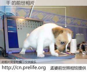 #孟婆前世照相馆# 【干 的前世相片】我们都曾从奈何桥上走过，喝下三碗忘川之水烹煮的孟婆汤，忘却了前尘旧事。孟婆前世照相馆，保存着你前世的数码相片。干 的前世相片，有图有真相：