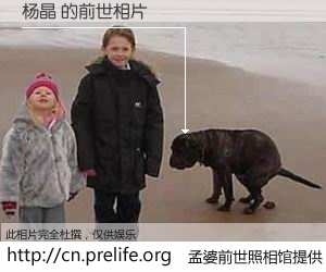 #孟婆前世照相馆# 【杨晶 的前世相片】我们都曾从奈何桥上走过，喝下三碗忘川之水烹煮的孟婆汤，忘却了前尘旧事。孟婆前世照相馆，保存着你前世的数码相片。杨晶 的前世相片，有图有真相：