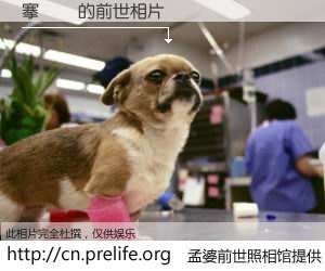 #孟婆前世照相馆# 【搴勯簰 的前世相片】我们都曾从奈何桥上走过，喝下三碗忘川之水烹煮的孟婆汤，忘却了前尘旧事。孟婆前世照相馆，保存着你前世的数码相片。搴勯簰 的前世相片，有图有真相：