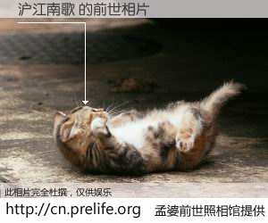#孟婆前世照相馆# 【沪江南歌 的前世相片】我们都曾从奈何桥上走过，喝下三碗忘川之水烹煮的孟婆汤，忘却了前尘旧事。孟婆前世照相馆，保存着你前世的数码相片。沪江南歌 的前世相片，有图有真相：