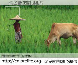 #孟婆前世照相馆# 【現代芭蕾 的前世相片】我们都曾从奈何桥上走过，喝下三碗忘川之水烹煮的孟婆汤，忘却了前尘旧事。孟婆前世照相馆，保存着你前世的数码相片。現代芭蕾 的前世相片，有图有真相：