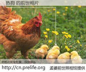 #孟婆前世照相馆# 【热狗 的前世相片】我们都曾从奈何桥上走过，喝下三碗忘川之水烹煮的孟婆汤，忘却了前尘旧事。孟婆前世照相馆，保存着你前世的数码相片。热狗 的前世相片，有图有真相：