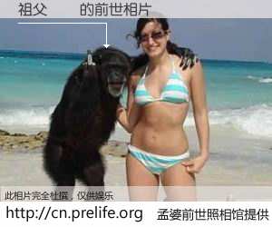 #孟婆前世照相馆# 【祖父謬論 的前世相片】我们都曾从奈何桥上走过，喝下三碗忘川之水烹煮的孟婆汤，忘却了前尘旧事。孟婆前世照相馆，保存着你前世的数码相片。祖父謬論 的前世相片，有图有真相：