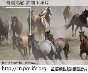 #孟婆前世照相馆# 【脊雪熊蚣 的前世相片】我们都曾从奈何桥上走过，喝下三碗忘川之水烹煮的孟婆汤，忘却了前尘旧事。孟婆前世照相馆，保存着你前世的数码相片。脊雪熊蚣 的前世相片，有图有真相：