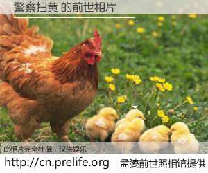 #孟婆前世照相馆# 【警察扫黄 的前世相片】我们都曾从奈何桥上走过，喝下三碗忘川之水烹煮的孟婆汤，忘却了前尘旧事。孟婆前世照相馆，保存着你前世的数码相片。警察扫黄 的前世相片，有图有真相：