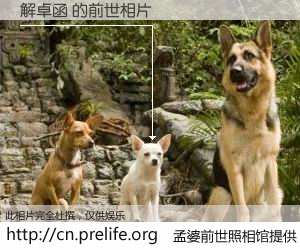 #孟婆前世照相馆# 【解卓函 的前世相片】我们都曾从奈何桥上走过，喝下三碗忘川之水烹煮的孟婆汤，忘却了前尘旧事。孟婆前世照相馆，保存着你前世的数码相片。解卓函 的前世相片，有图有真相：