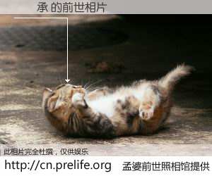 #孟婆前世照相馆# 【許濬承 的前世相片】我们都曾从奈何桥上走过，喝下三碗忘川之水烹煮的孟婆汤，忘却了前尘旧事。孟婆前世照相馆，保存着你前世的数码相片。許濬承 的前世相片，有图有真相：