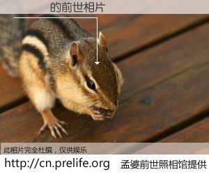 #孟婆前世照相馆# 【許綽軒 的前世相片】我们都曾从奈何桥上走过，喝下三碗忘川之水烹煮的孟婆汤，忘却了前尘旧事。孟婆前世照相馆，保存着你前世的数码相片。許綽軒 的前世相片，有图有真相：