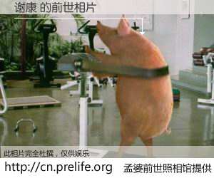 #孟婆前世照相馆# 【谢康 的前世相片】我们都曾从奈何桥上走过，喝下三碗忘川之水烹煮的孟婆汤，忘却了前尘旧事。孟婆前世照相馆，保存着你前世的数码相片。谢康 的前世相片，有图有真相：