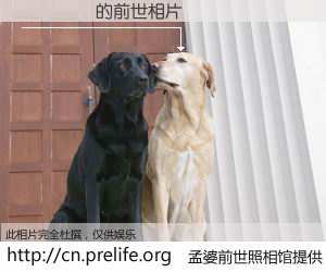 #孟婆前世照相馆# 【미세스묵 的前世相片】我们都曾从奈何桥上走过，喝下三碗忘川之水烹煮的孟婆汤，忘却了前尘旧事。孟婆前世照相馆，保存着你前世的数码相片。미세스묵 的前世相片，有图有真相：