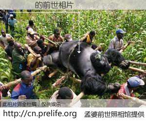 #孟婆前世照相馆# 【밋업랩 的前世相片】我们都曾从奈何桥上走过，喝下三碗忘川之水烹煮的孟婆汤，忘却了前尘旧事。孟婆前世照相馆，保存着你前世的数码相片。밋업랩 的前世相片，有图有真相：