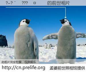 #孟婆前世照相馆# 【?-?��???���� 的前世相片】我们都曾从奈何桥上走过，喝下三碗忘川之水烹煮的孟婆汤，忘却了前尘旧事。孟婆前世照相馆，保存着你前世的数码相片。?-?��???���� 的前世相片，有图有真相：