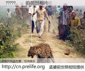 #孟婆前世照相馆# 【?????�� 的前世相片】我们都曾从奈何桥上走过，喝下三碗忘川之水烹煮的孟婆汤，忘却了前尘旧事。孟婆前世照相馆，保存着你前世的数码相片。?????�� 的前世相片，有图有真相：