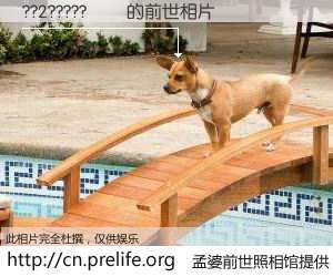 #孟婆前世照相馆# 【??2????? 的前世相片】我们都曾从奈何桥上走过，喝下三碗忘川之水烹煮的孟婆汤，忘却了前尘旧事。孟婆前世照相馆，保存着你前世的数码相片。??2????? 的前世相片，有图有真相：