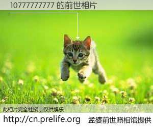 #孟婆前世照相馆# 【10777777777 的前世相片】我们都曾从奈何桥上走过，喝下三碗忘川之水烹煮的孟婆汤，忘却了前尘旧事。孟婆前世照相馆，保存着你前世的数码相片。10777777777 的前世相片，有图有真相：