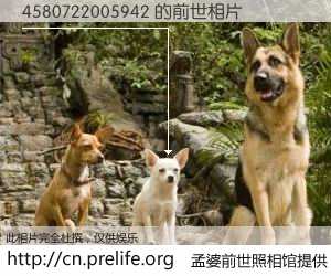 #孟婆前世照相馆# 【4580722005942 的前世相片】我们都曾从奈何桥上走过，喝下三碗忘川之水烹煮的孟婆汤，忘却了前尘旧事。孟婆前世照相馆，保存着你前世的数码相片。4580722005942 的前世相片，有图有真相：