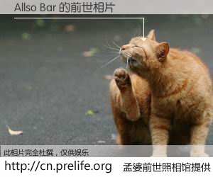 #孟婆前世照相馆# 【Allso Bar 的前世相片】我们都曾从奈何桥上走过，喝下三碗忘川之水烹煮的孟婆汤，忘却了前尘旧事。孟婆前世照相馆，保存着你前世的数码相片。Allso Bar 的前世相片，有图有真相：