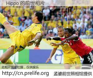 #孟婆前世照相馆# 【Hippo 的前世相片】我们都曾从奈何桥上走过，喝下三碗忘川之水烹煮的孟婆汤，忘却了前尘旧事。孟婆前世照相馆，保存着你前世的数码相片。Hippo 的前世相片，有图有真相：