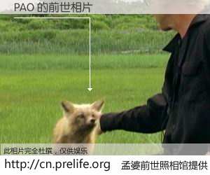 #孟婆前世照相馆# 【PAO 的前世相片】我们都曾从奈何桥上走过，喝下三碗忘川之水烹煮的孟婆汤，忘却了前尘旧事。孟婆前世照相馆，保存着你前世的数码相片。PAO 的前世相片，有图有真相：