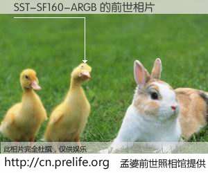 #孟婆前世照相馆# 【SST-SF160-ARGB 的前世相片】我们都曾从奈何桥上走过，喝下三碗忘川之水烹煮的孟婆汤，忘却了前尘旧事。孟婆前世照相馆，保存着你前世的数码相片。SST-SF160-ARGB 的前世相片，有图有真相：