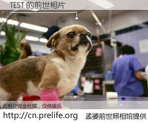 #孟婆前世照相馆# 【TEST 的前世相片】我们都曾从奈何桥上走过，喝下三碗忘川之水烹煮的孟婆汤，忘却了前尘旧事。孟婆前世照相馆，保存着你前世的数码相片。TEST 的前世相片，有图有真相：
