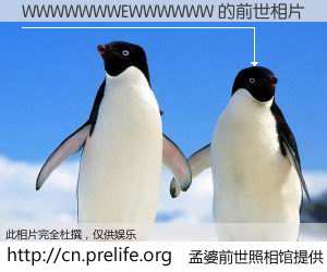 #孟婆前世照相馆# 【WWWWWWWEWWWWWW 的前世相片】我们都曾从奈何桥上走过，喝下三碗忘川之水烹煮的孟婆汤，忘却了前尘旧事。孟婆前世照相馆，保存着你前世的数码相片。WWWWWWWEWWWWWW 的前世相片，有图有真相：