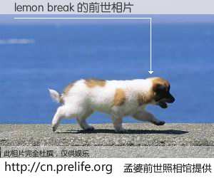 #孟婆前世照相馆# 【lemon break 的前世相片】我们都曾从奈何桥上走过，喝下三碗忘川之水烹煮的孟婆汤，忘却了前尘旧事。孟婆前世照相馆，保存着你前世的数码相片。lemon break 的前世相片，有图有真相：