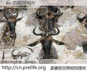 #孟婆前世照相馆# 【leo 的前世相片】我们都曾从奈何桥上走过，喝下三碗忘川之水烹煮的孟婆汤，忘却了前尘旧事。孟婆前世照相馆，保存着你前世的数码相片。leo 的前世相片，有图有真相：