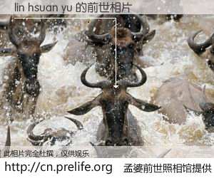 #孟婆前世照相馆# 【lin hsuan yu 的前世相片】我们都曾从奈何桥上走过，喝下三碗忘川之水烹煮的孟婆汤，忘却了前尘旧事。孟婆前世照相馆，保存着你前世的数码相片。lin hsuan yu 的前世相片，有图有真相：