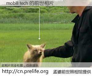 #孟婆前世照相馆# 【mobili tech 的前世相片】我们都曾从奈何桥上走过，喝下三碗忘川之水烹煮的孟婆汤，忘却了前尘旧事。孟婆前世照相馆，保存着你前世的数码相片。mobili tech 的前世相片，有图有真相：