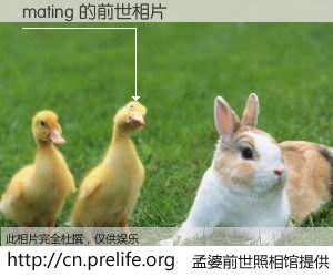 #孟婆前世照相馆# 【mating 的前世相片】我们都曾从奈何桥上走过，喝下三碗忘川之水烹煮的孟婆汤，忘却了前尘旧事。孟婆前世照相馆，保存着你前世的数码相片。mating 的前世相片，有图有真相：