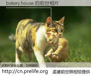 #孟婆前世照相馆# 【bakery.house 的前世相片】我们都曾从奈何桥上走过，喝下三碗忘川之水烹煮的孟婆汤，忘却了前尘旧事。孟婆前世照相馆，保存着你前世的数码相片。bakery.house 的前世相片，有图有真相：