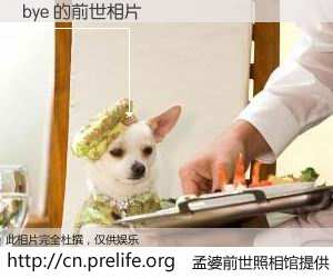 #孟婆前世照相馆# 【bye 的前世相片】我们都曾从奈何桥上走过，喝下三碗忘川之水烹煮的孟婆汤，忘却了前尘旧事。孟婆前世照相馆，保存着你前世的数码相片。bye 的前世相片，有图有真相：