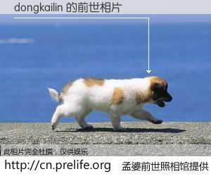 #孟婆前世照相馆# 【dongkailin 的前世相片】我们都曾从奈何桥上走过，喝下三碗忘川之水烹煮的孟婆汤，忘却了前尘旧事。孟婆前世照相馆，保存着你前世的数码相片。dongkailin 的前世相片，有图有真相：