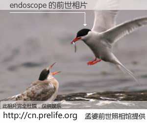 #孟婆前世照相馆# 【endoscope 的前世相片】我们都曾从奈何桥上走过，喝下三碗忘川之水烹煮的孟婆汤，忘却了前尘旧事。孟婆前世照相馆，保存着你前世的数码相片。endoscope 的前世相片，有图有真相：