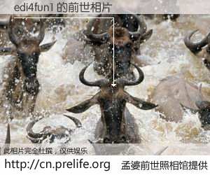 #孟婆前世照相馆# 【edi4fun1 的前世相片】我们都曾从奈何桥上走过，喝下三碗忘川之水烹煮的孟婆汤，忘却了前尘旧事。孟婆前世照相馆，保存着你前世的数码相片。edi4fun1 的前世相片，有图有真相：