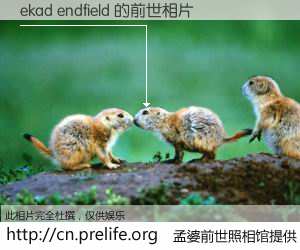 #孟婆前世照相馆# 【ekad endfield 的前世相片】我们都曾从奈何桥上走过，喝下三碗忘川之水烹煮的孟婆汤，忘却了前尘旧事。孟婆前世照相馆，保存着你前世的数码相片。ekad endfield 的前世相片，有图有真相：