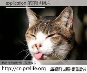 #孟婆前世照相馆# 【explication 的前世相片】我们都曾从奈何桥上走过，喝下三碗忘川之水烹煮的孟婆汤，忘却了前尘旧事。孟婆前世照相馆，保存着你前世的数码相片。explication 的前世相片，有图有真相：