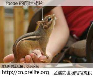 #孟婆前世照相馆# 【facae 的前世相片】我们都曾从奈何桥上走过，喝下三碗忘川之水烹煮的孟婆汤，忘却了前尘旧事。孟婆前世照相馆，保存着你前世的数码相片。facae 的前世相片，有图有真相：