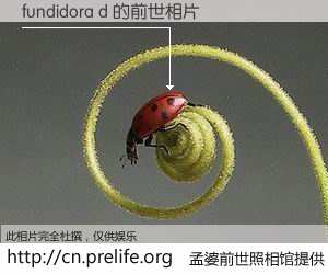 #孟婆前世照相馆# 【fundidora d 的前世相片】我们都曾从奈何桥上走过，喝下三碗忘川之水烹煮的孟婆汤，忘却了前尘旧事。孟婆前世照相馆，保存着你前世的数码相片。fundidora d 的前世相片，有图有真相：